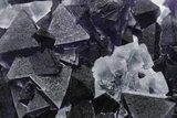 Purple Octahedral Fluorite Crystals on Quartz - China #223317-3